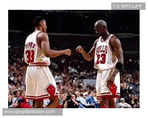 07年NBA季后赛太阳与公牛激战回顾球迷心中的经典对决