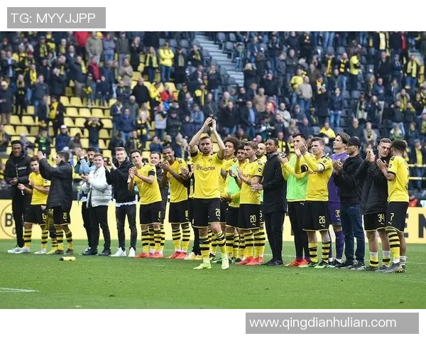 圣保利与多特蒙德竞彩分析及赛前预测全面解读 圣保利与多特蒙德竞彩分析及赛前预测全面解读