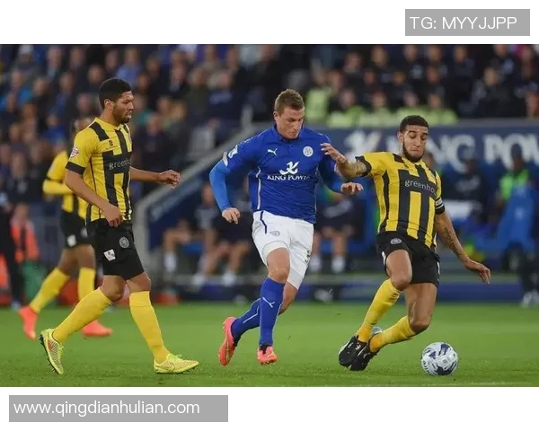 埃弗顿主场迎战莱切斯特全力争胜展现球队实力与斗志