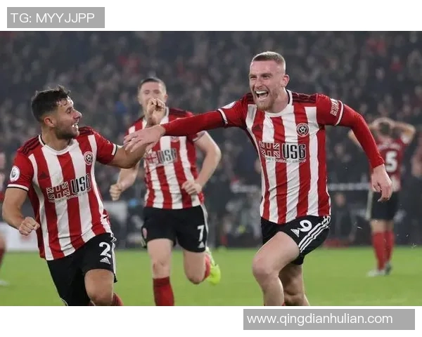 布城与博尔顿对决前瞻分析及比赛结果预测详解