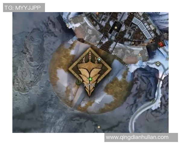 哈波尔维与阿利安萨的激战揭示了足球战术的新趋势与挑战