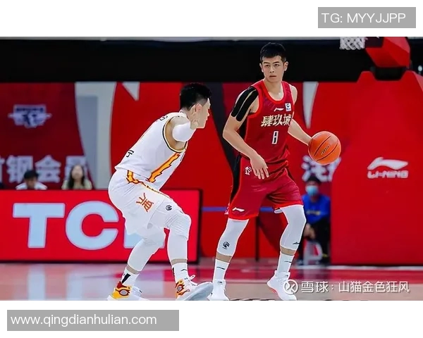 广夏与广东对决精彩直播全程回顾与赛后分析尽在此处