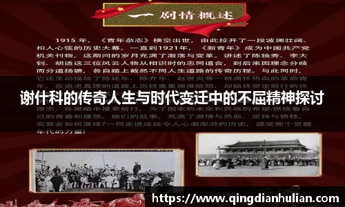 谢什科的传奇人生与时代变迁中的不屈精神探讨