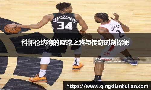 科怀伦纳德的篮球之路与传奇时刻探秘