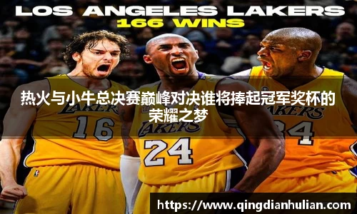 热火与小牛总决赛巅峰对决谁将捧起冠军奖杯的荣耀之梦