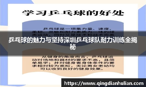 乒乓球的魅力与坚持深圳乒乓球队耐力训练全揭秘